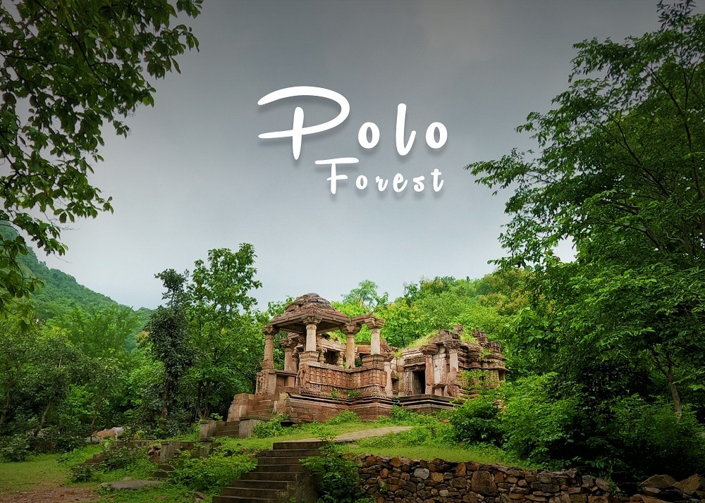 Polo Forest: The Ultimate Offbeat Destination for Nature Lovers and Explorers Shivrajpur Beach