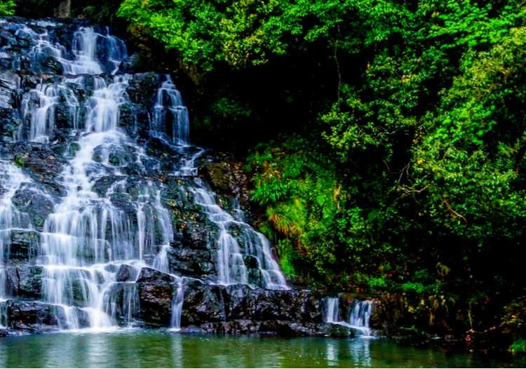 Best Waterfalls in India: Exploring Nature's Majestic Cascades Best Waterfalls in India