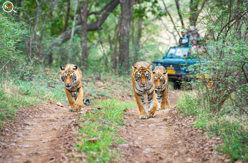 kutch visit places aatapi wonderland rides list