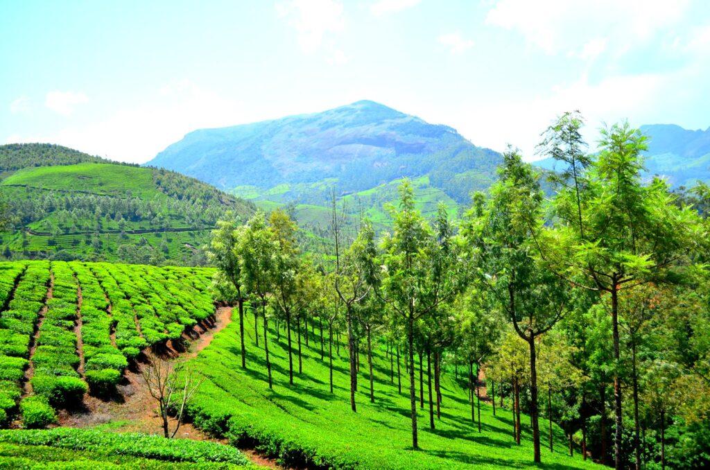 best tourist attractions in kerala - केरल में सर्वश्रेष्ठ पर्यटक आकर्षण aatapi wonderland rides list