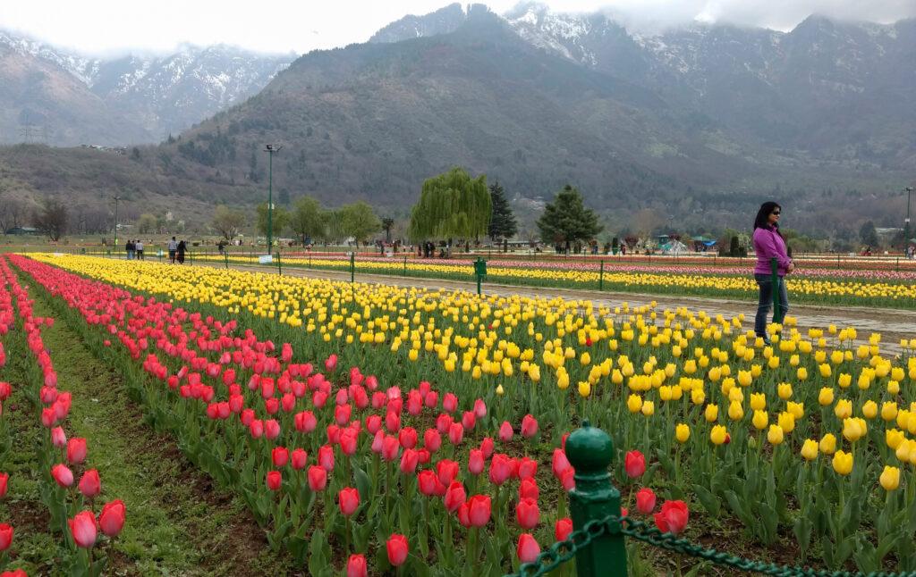 Top 10 kashmir tourist destination - कश्मीर में घूमने की सबसे अच्छी जगह वाराणसी के 10 स्थान जो आपने कभी नहीं देखे होंगे |