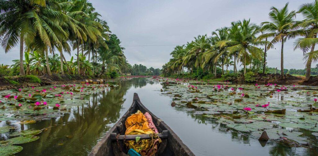 best tourist attractions in kerala - केरल में सर्वश्रेष्ठ पर्यटक आकर्षण siteurl:https://gotravelinglife.com/wp-json/