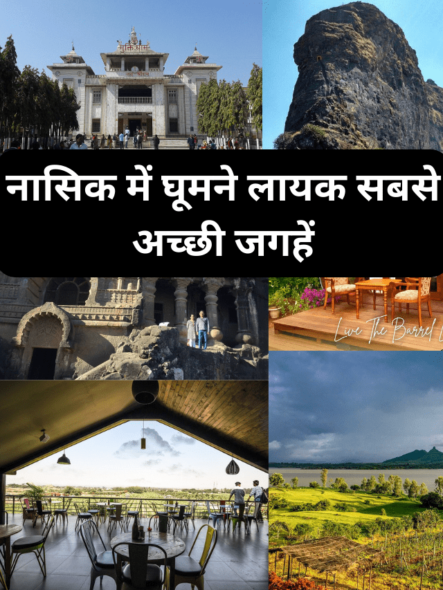 Best 10 honymoon destination in india (19)