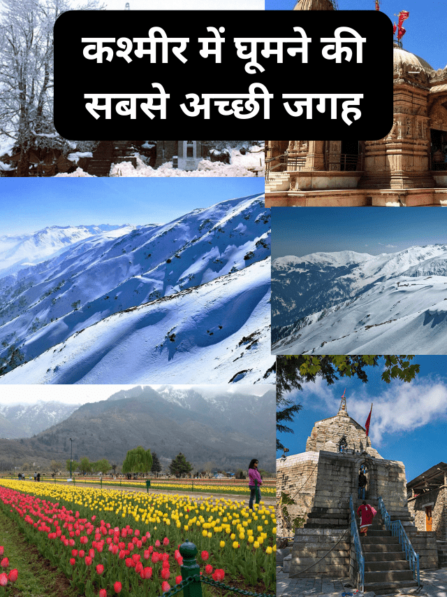 Best 10 honymoon destination in india (32)