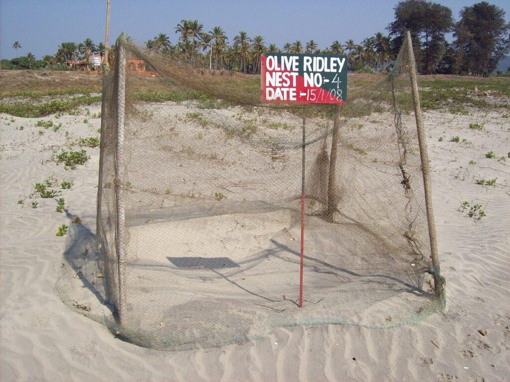 best beach in goa - गोवा में सबसे अच्छा समुद्र तट स्टैच्यू ऑफ यूनिटी के पास घूमने के लिए सर्वोत्तम स्थान