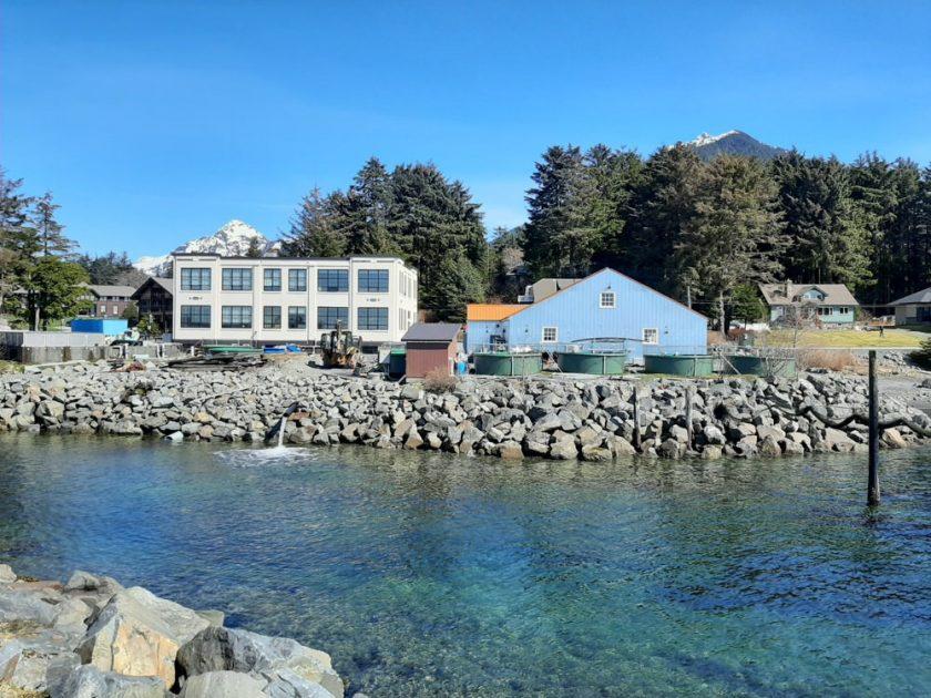 things to do in sitka Hookipa Beach