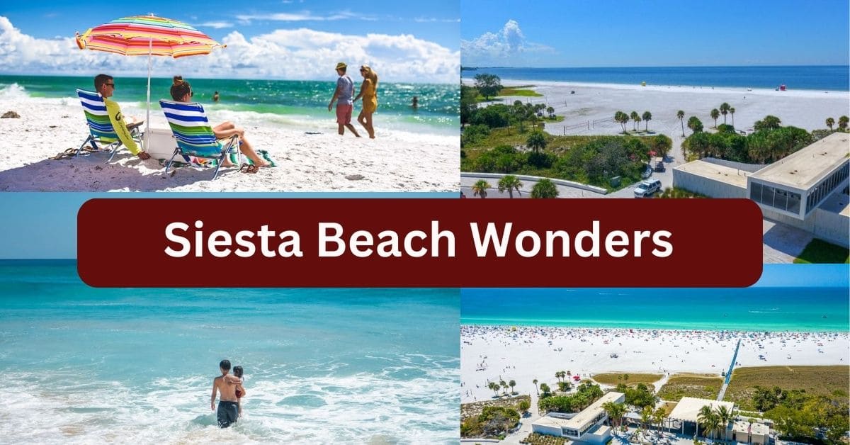 Siesta Beach Wonders: Where Nature's Beauty Meets Your Perfect Retreat Siesta Beach