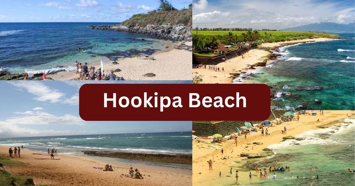 Family Fun in Maui: Exploring Hookipa Beach Hookipa Beach