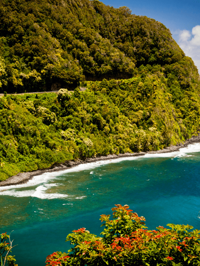 Best 10 honymoon destination in india (3)