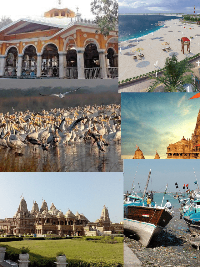 Best 10 honymoon destination in india (41)