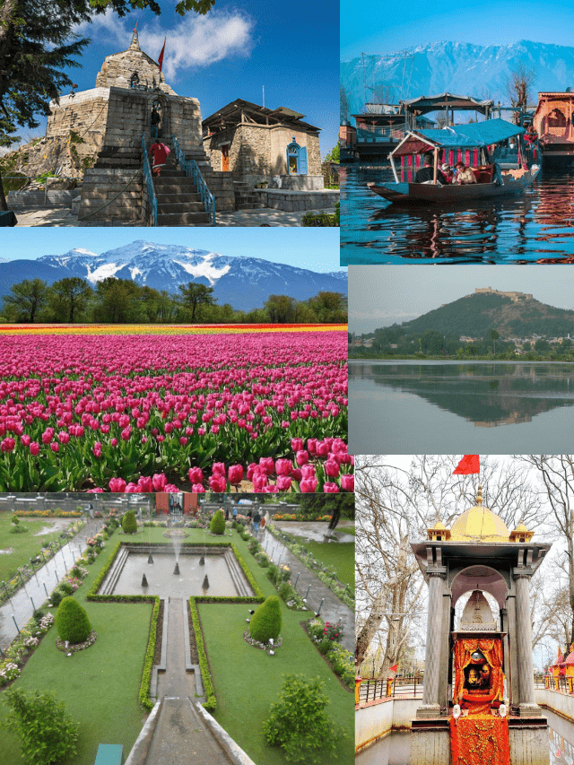 Best 10 honymoon destination in india (44)