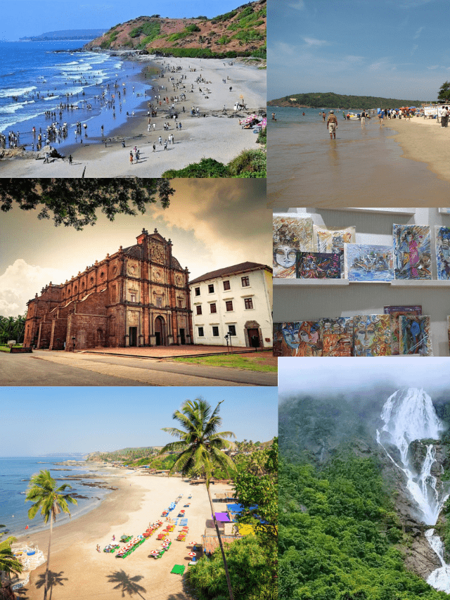 Best 10 honymoon destination in india (46)