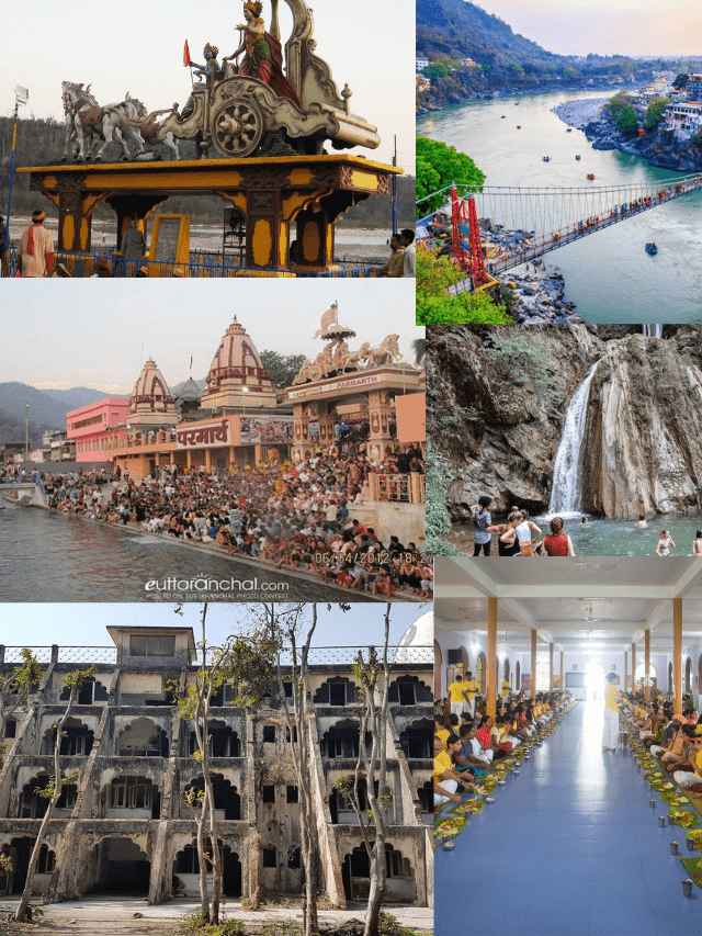 Best 10 honymoon destination in india (49)