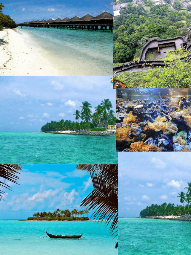 Best 10 honymoon destination in india (51)