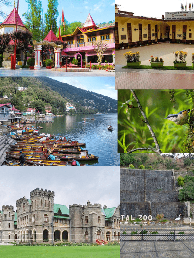 Best 10 honymoon destination in india (54)