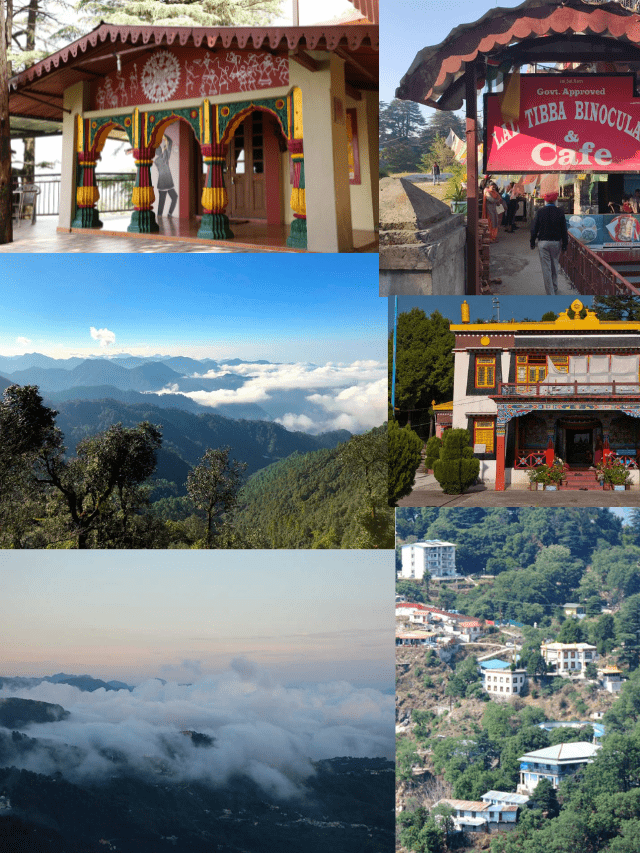 Best 10 honymoon destination in india (57)