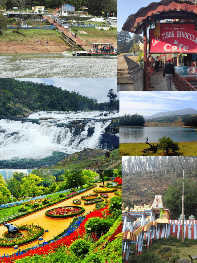 Best 10 honymoon destination in india (58)