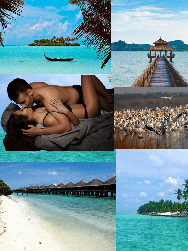 Best 10 honymoon destination in india (61)