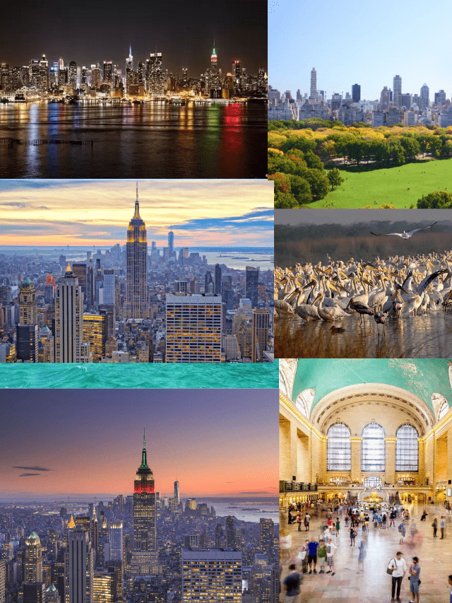 Best 10 honymoon destination in india (62)