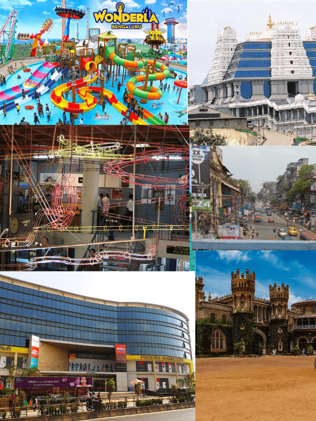 Best 10 honymoon destination in india (64)