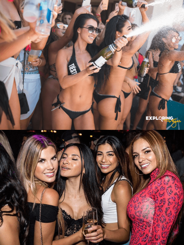 Best 10 honymoon destination in india (68)