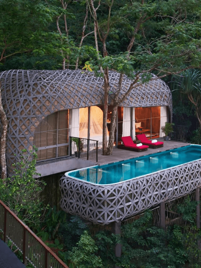 Best 10 honymoon destination in india (80)