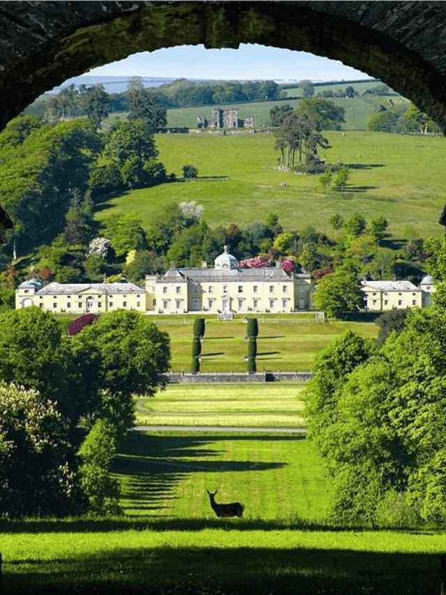 Best 10 honymoon destination in india (85)