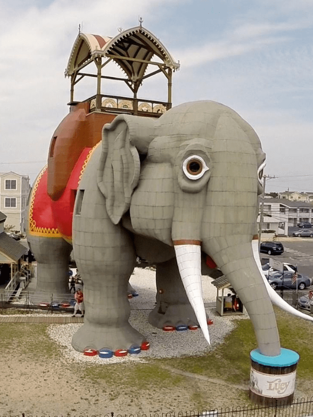 Best 10 honymoon destination in india (87)