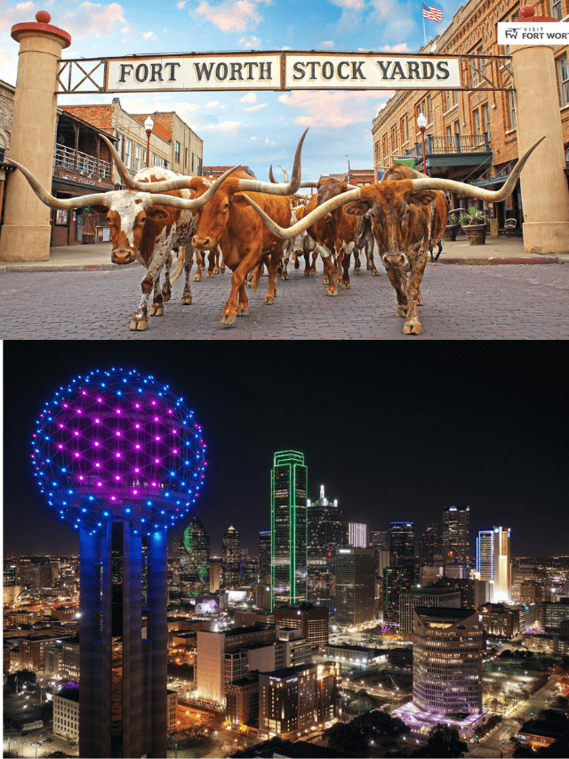 Best 10 honymoon destination in india