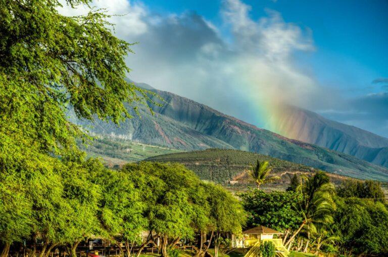 maui-travel-guide