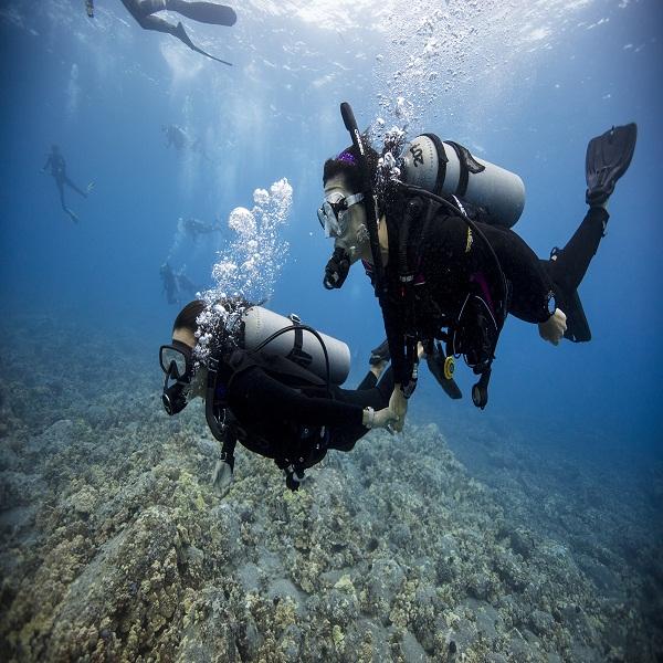 scuba diving in dwarka price location map full details