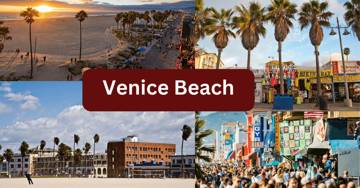 Explore Venice Beach: California's Coastal Gem Venice Beach