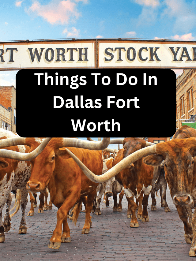 Best 10 honymoon destination in india - 2024-02-01T180157.400