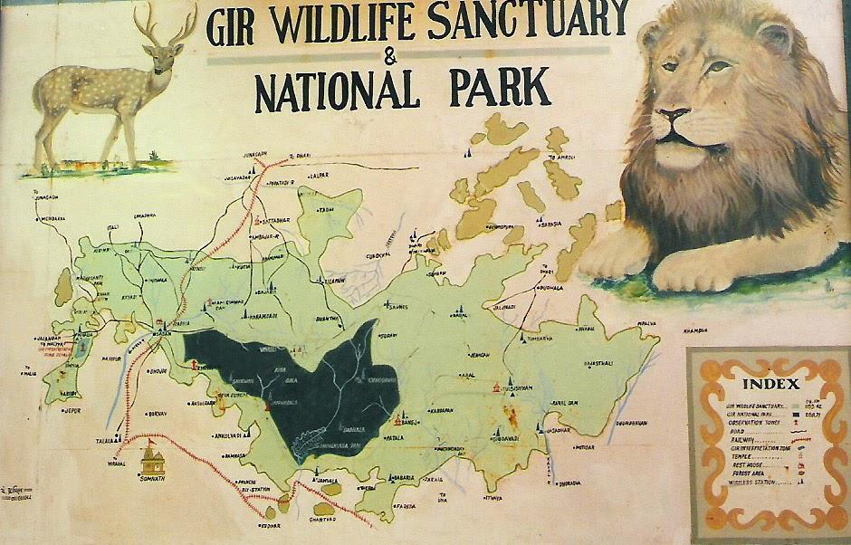 Gir National Park | booking, timing, Map, Jungle safari Gir National Park