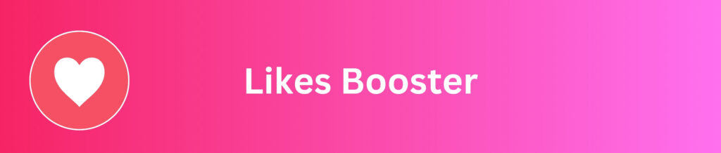 Instgaram Follower booster sm