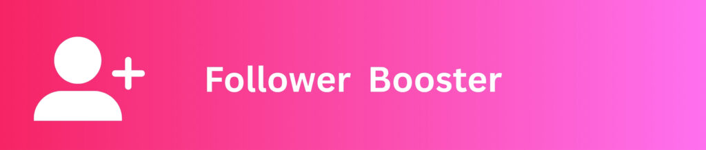 Instgaram Follower booster sm