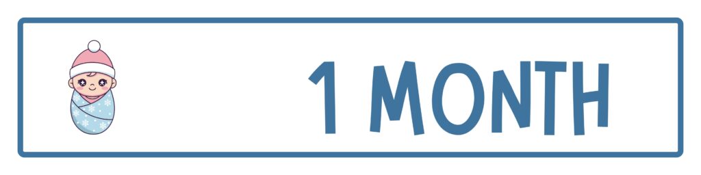 S ai art generator from photo